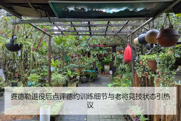 费德勒退役后点评德约训练细节与老将竞技状态引热议